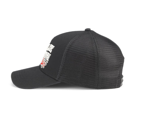 Willie Nelson Valin Cap